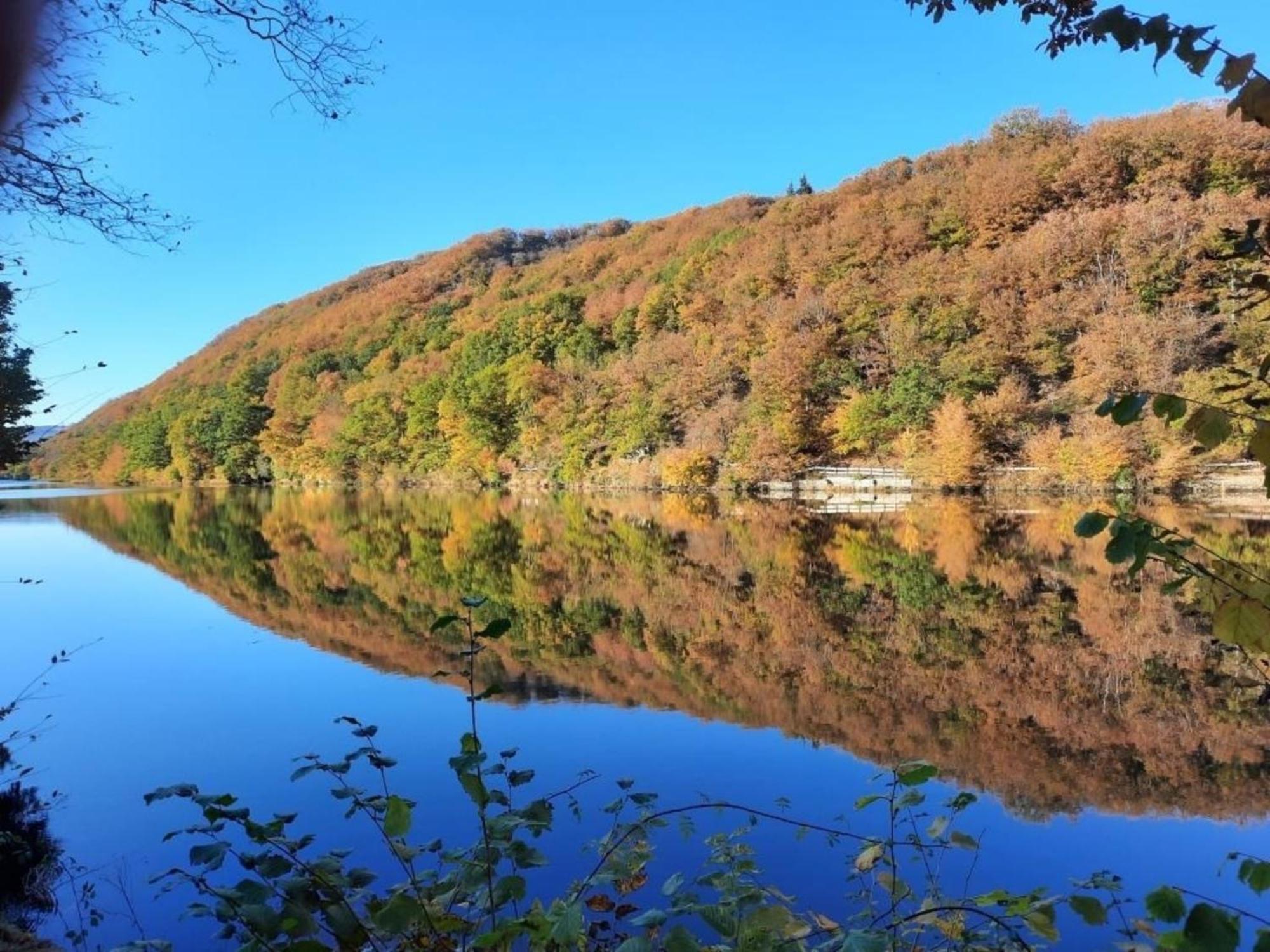 Ferienhaus &#039Freund Am See&#039 3 하임바흐 외부 사진